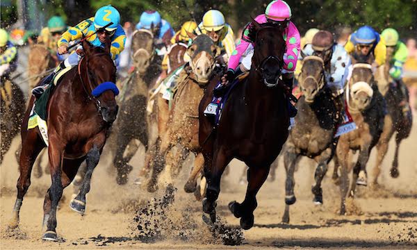 American Horse Racing