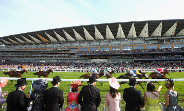 Ascot Horse Racing