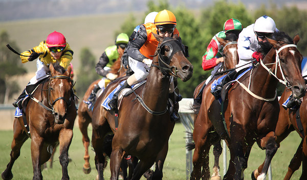 The Melbourne Cup