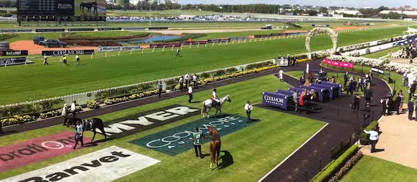 About Rosehill Races