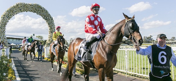 Rosehill Races