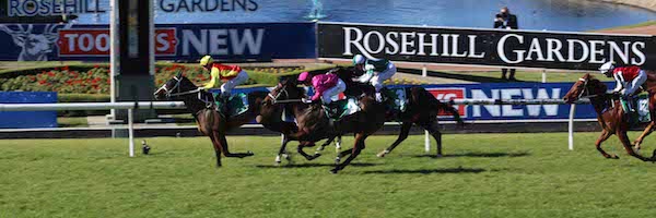 Rosehill Races