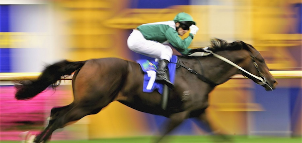 Horse betting systems
