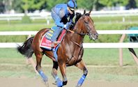American Horse Racing
