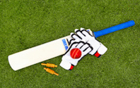 Cricket betting strategy