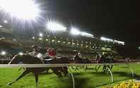 Moonee Valley Races