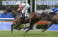 Rosehill Races Betting